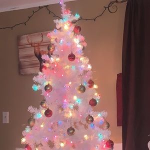 Meet your Posher, Cheyenne